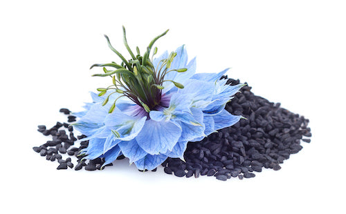 closeup of black cumin seeds and blue flower