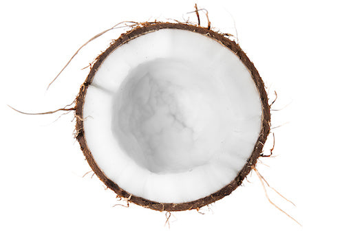 closeup of split coconut brown rind white coconut meat